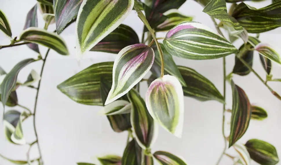 Artificial hanging wandering jew plant, 16″