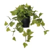 Artificial ivy in black ceramic pot