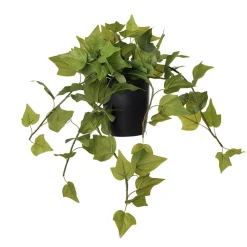 Artificial ivy in black ceramic pot