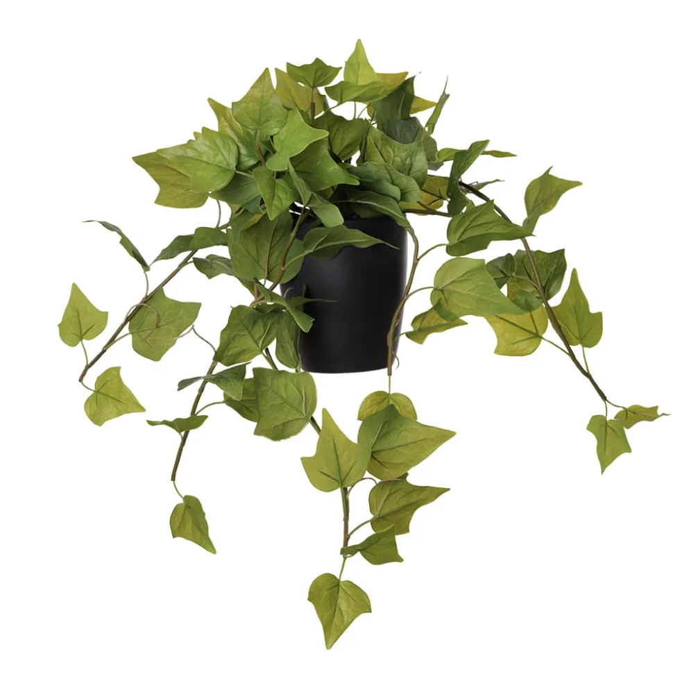 Artificial ivy in black ceramic pot