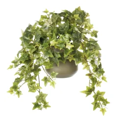Artificial ivy in dark green ceramic pot