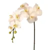 Artificial just cut white orchid flower, 31"