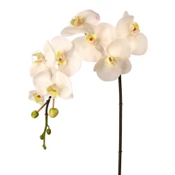 Artificial just cut white orchid flower, 31"