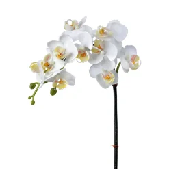 Artificial just cut white phaleanopsis orchid, 24"