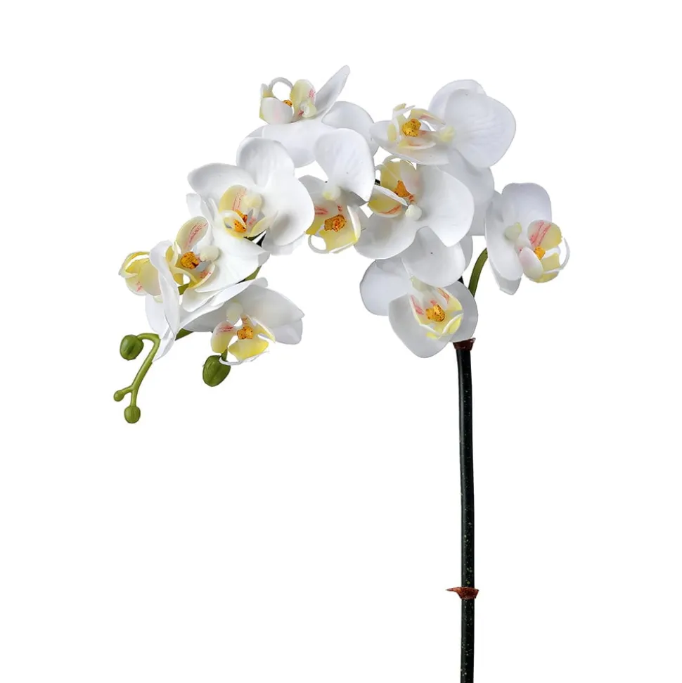 Artificial just cut white phaleanopsis orchid, 24"