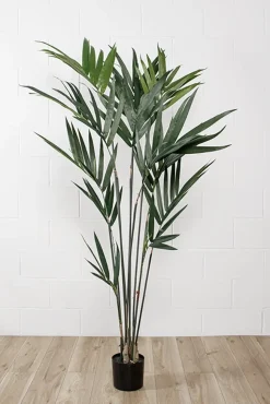 Artificial kentia indoor palm tree, 72″