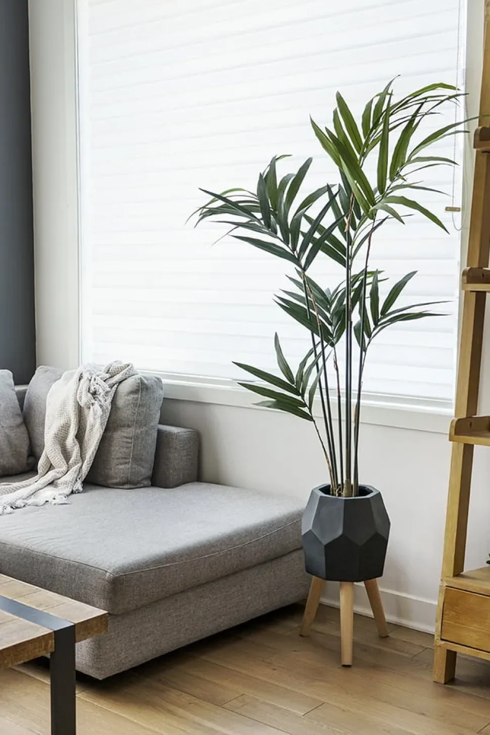 Artificial kentia indoor palm tree, 60″