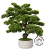 Artificial large pine bonsai tree, 22 x 16"