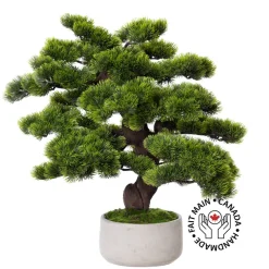 Artificial large pine bonsai tree, 22 x 16"