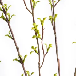 Artificial leaf branch, 34"