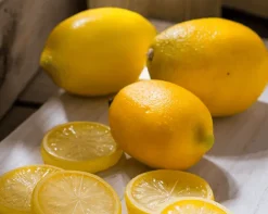 Artificial lemon, 3