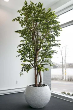 Artificial lime green mini ficus handmade tree