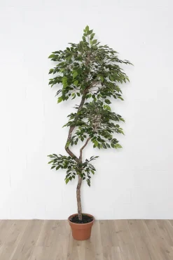 Artificial lime green mini ficus handmade tree