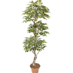 Artificial lime green mini ficus handmade tree