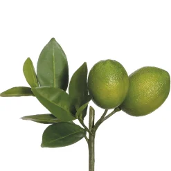 Artificial lime pick, 8,5″