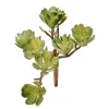 Artificial mini creeping green succulent, 5"
