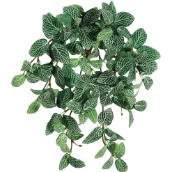Artificial miniature trailing fittonia plant, 13"
