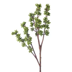 Artificial nut sedum spray, 20"