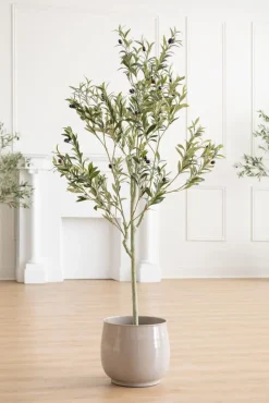 Artificial olive tree, 60