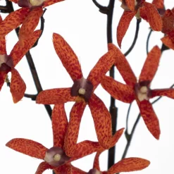 Artificial orange dendrodium orchid, 30″