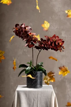 Artificial orange orchid, 30″