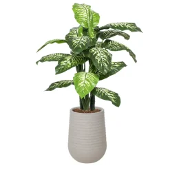 Artificial outdoor dieffenbachia in a grey terrazzo beige pot, 53"