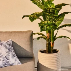 Artificial outdoor dieffenbachia in a grey terrazzo beige pot, 53