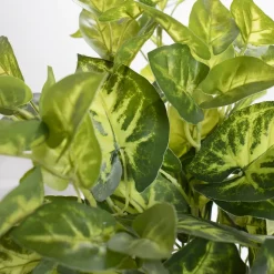 Artificial outdoor nephthytis plant, 17″