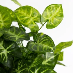 Artificial outdoor nephthytis plant, 21"