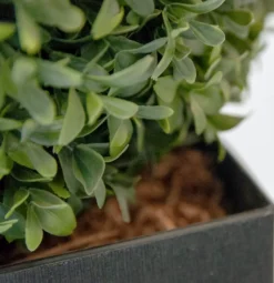 Artificial outdoor potted boxwood ball topiary, 33