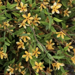 Artificial outdoor potted small yellow flowers, 24 x 29"