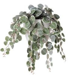 Artificial peperomia in a white planter