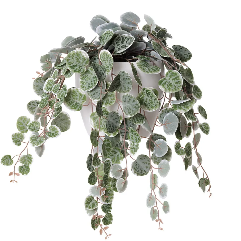Artificial peperomia in a white planter