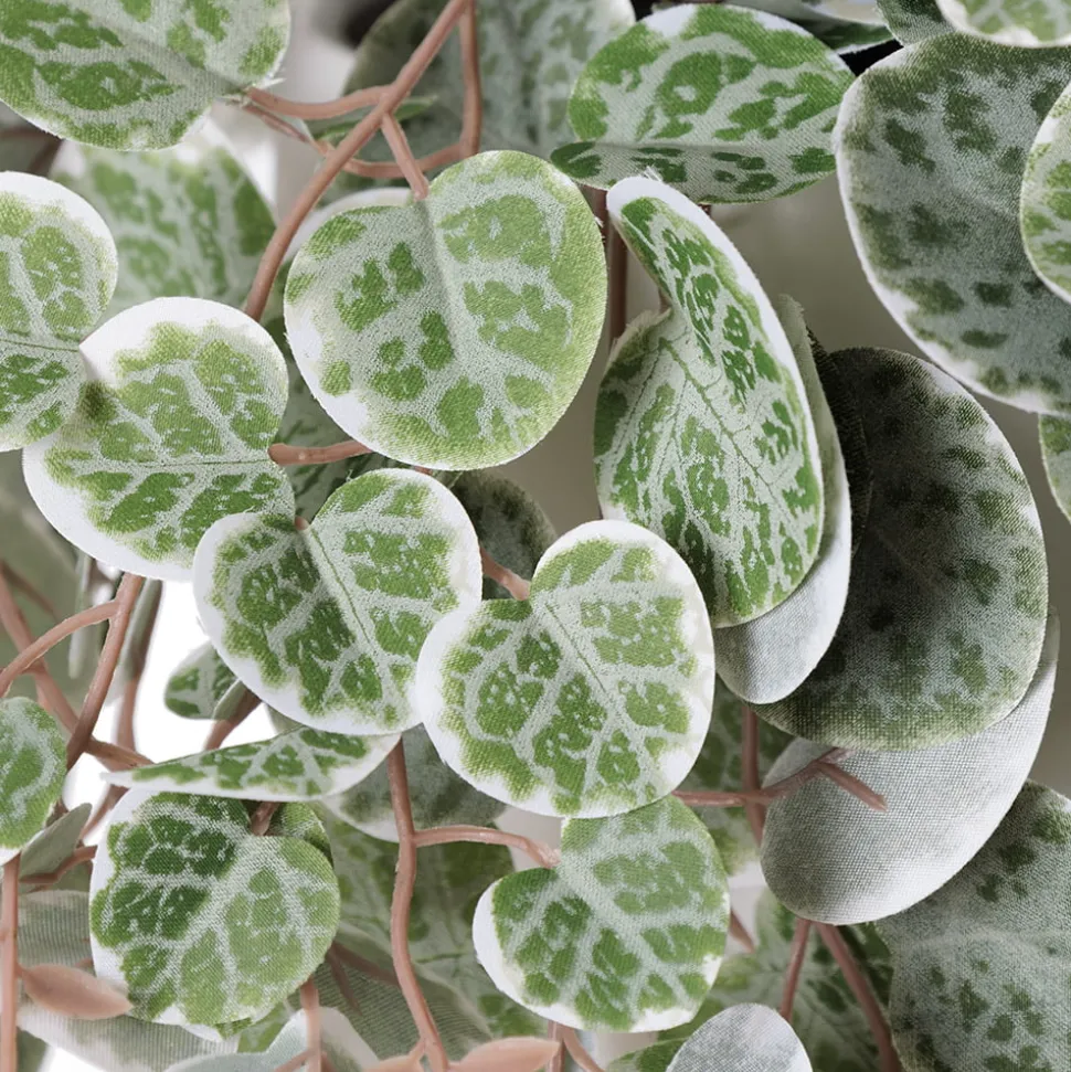 Artificial peperomia in a white planter