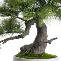 Artificial pine needle bonsai tree, 21″