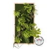 Artificial plant wall, acacia foliage, 30 x 15"