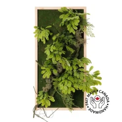 Artificial plant wall, acacia foliage, 30 x 15"