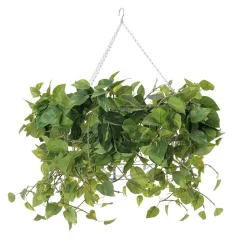 Artificial pothos hanging planter