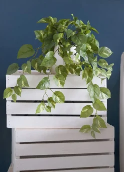 Artificial pothos hanging plant, 23