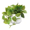 Artificial pothos in a white planter