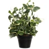 Artificial potted euonymus plant