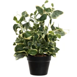 Artificial potted euonymus plant