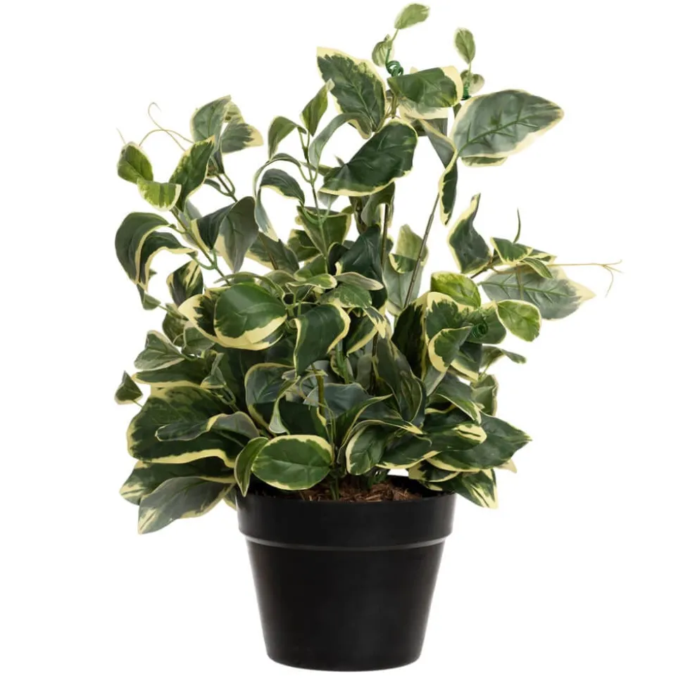 Artificial potted euonymus plant