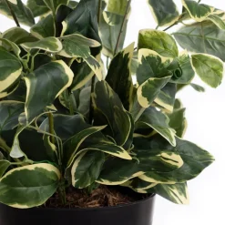 Artificial potted euonymus plant