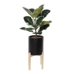 Artificial potted ficus elastica plant, 38 x 20"