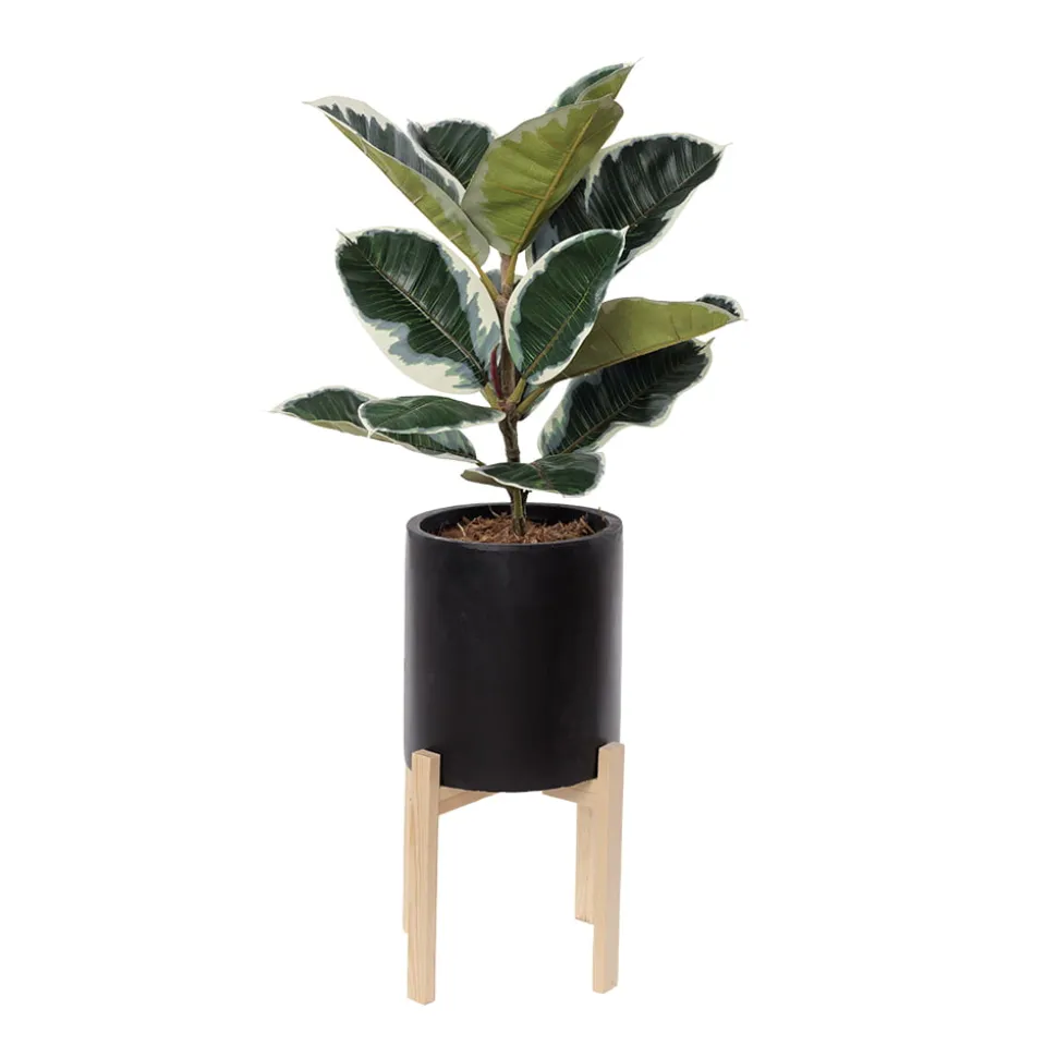 Artificial potted ficus elastica plant, 38 x 20"