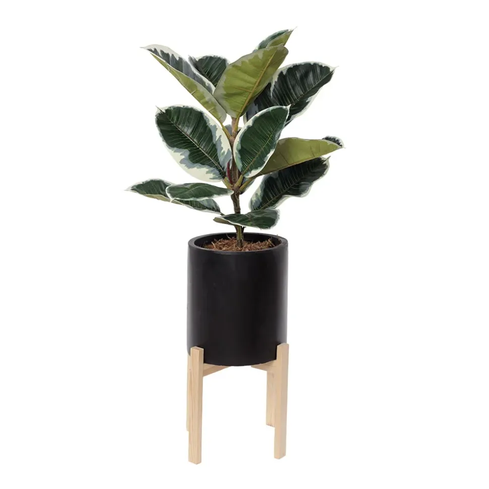 Artificial potted ficus elastica plant, 38 x 20"