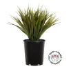 Artificial potted green grass, 15 x 12″