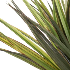 Artificial potted green grass, 15 x 12″