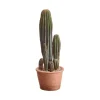 Artificial potted san pedro cactus, 15,5"